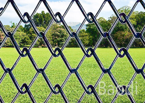De Comités van de privacyomheining met het Patroon van het Diamantgat, de Draadomheining van de Tuincycloon