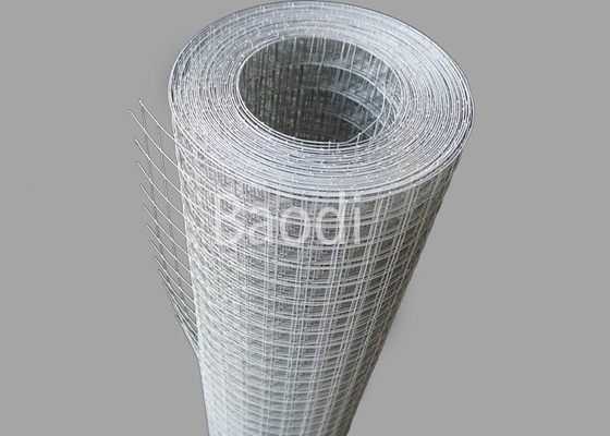 Gegalvaniseerd Gelast Draadnetwerk 0.915m x 30 m-Opening 6 mm x 6 mm