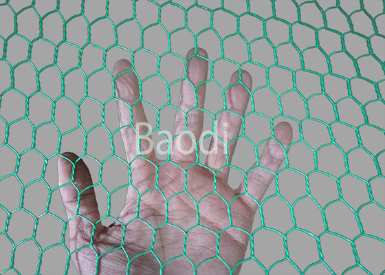 Het plastic Netwerk van het GevogelteKippegaas Netto met Hexagonaal Netwerk, Groen Met een laag bedekt pvc