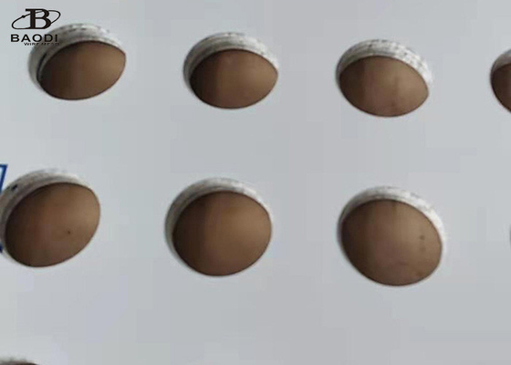 1m X 2m Netwerk van het het Ponsen het Plaat Geperforeerde Metaal van het Filterscherm