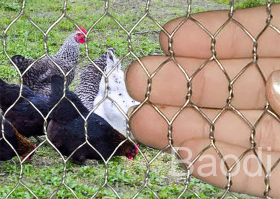 Roestvrije Kippegaasstof voor Konijnbescherming, de Yardomheining van de Laag Koolstofstaalkip