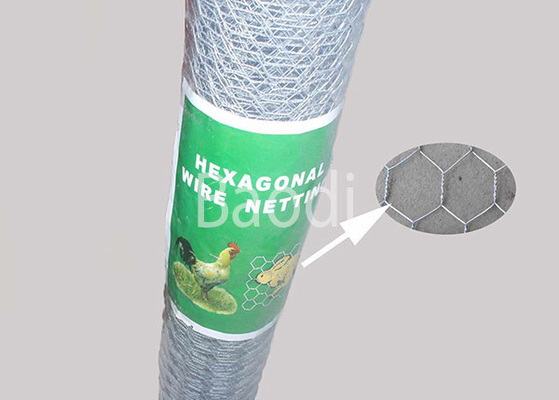 Corrosiebestendig Hexagonaal Draadnetwerk, De Omheining van de Kippegaastuin met Hexagonaal Gat