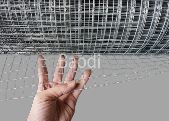 Gegalvaniseerd Gelast Draadnetwerk 0.915m x 30 m-Opening 6 mm x 6 mm