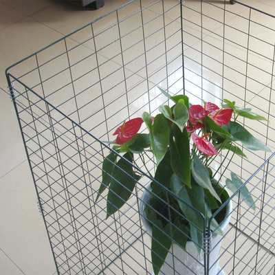 UV-beschermde draadnetcompostbak met poeder-vinyl-gecoate oppervlakte en alle weersomstandigheden buiten RAL6005 Groen