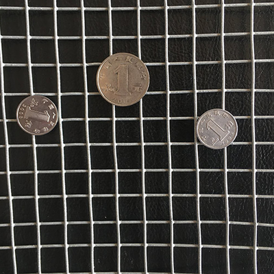 Beschermingsnet gegalvaniseerd gelast net voor bouw en hekken maat gegarandeerd
